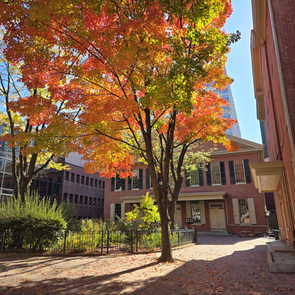 A vibrant maple tree with yellow, red, and green leaves is in the center of a brick plaza. Behind it is a Quaker meetinghouse. To the left is a nonprofit office building and a courtyard garden. It is Friends Center's courtyard.